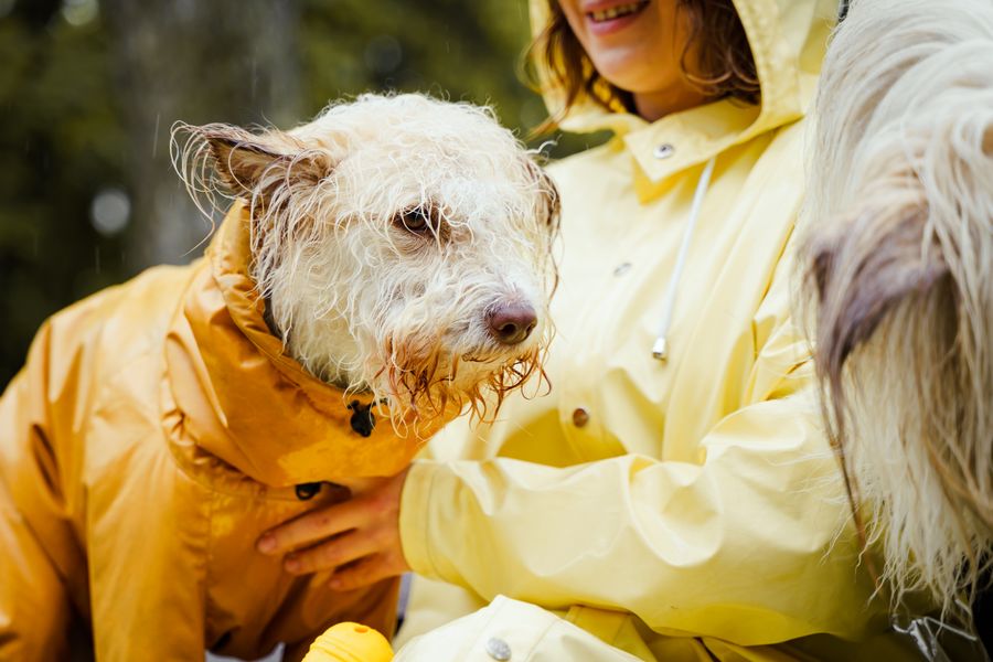 Jaquetas resistentes à água para chuva